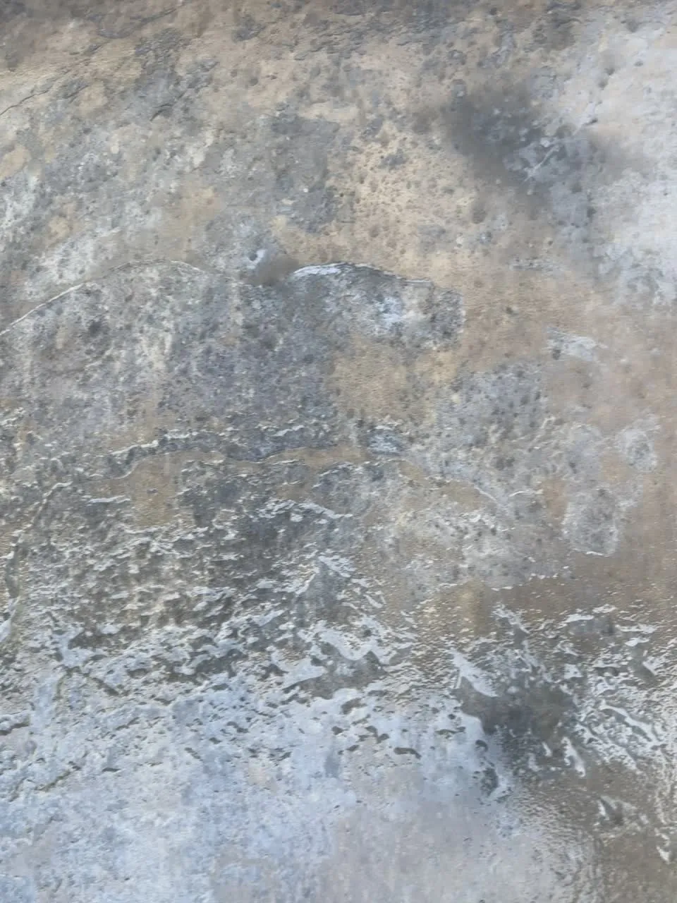 Close detail of freshly sealed stamped concrete