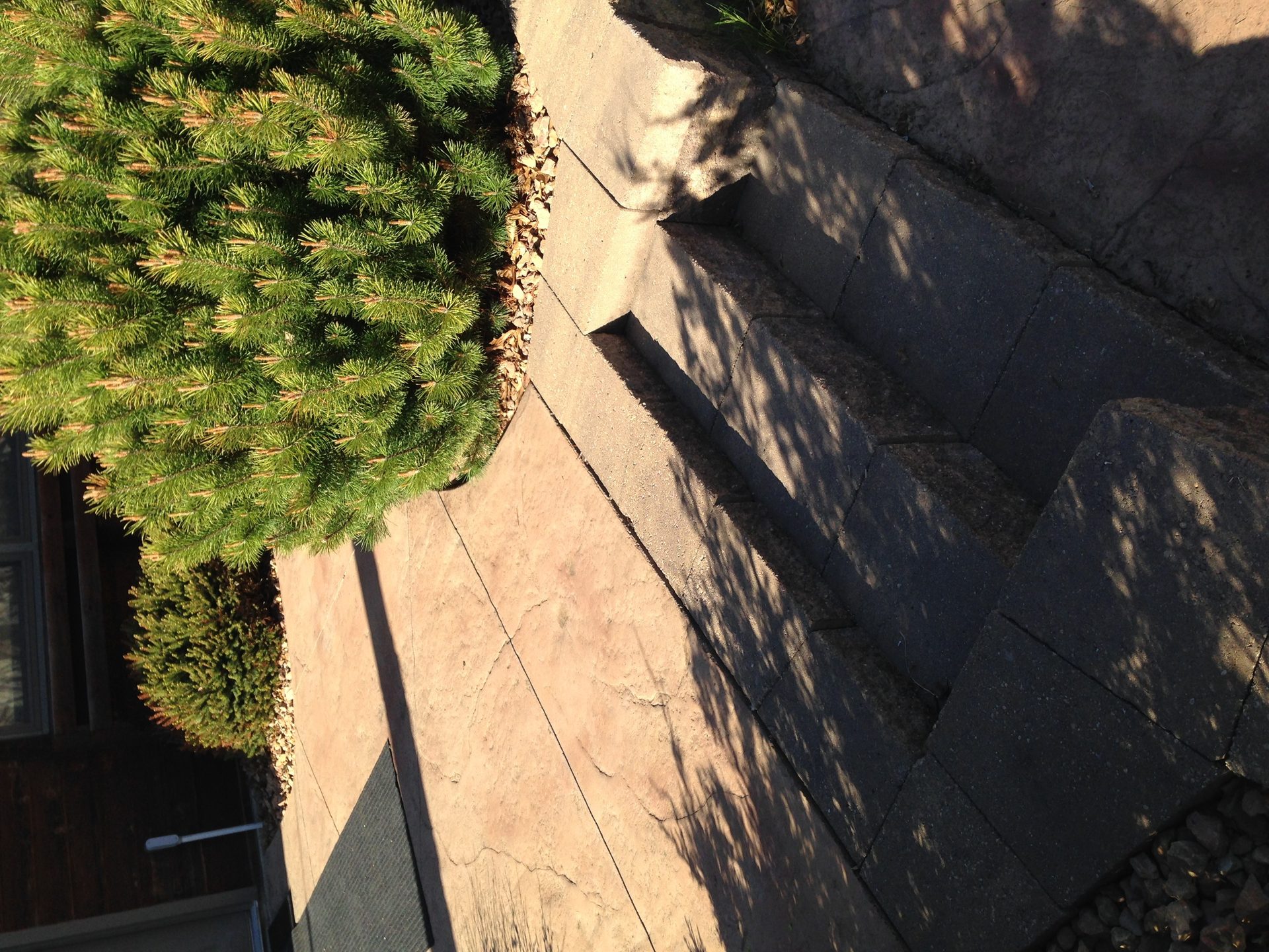 Finished concrete driveway with clean edges alongside landscaped planter bed with ornamental shrubs.